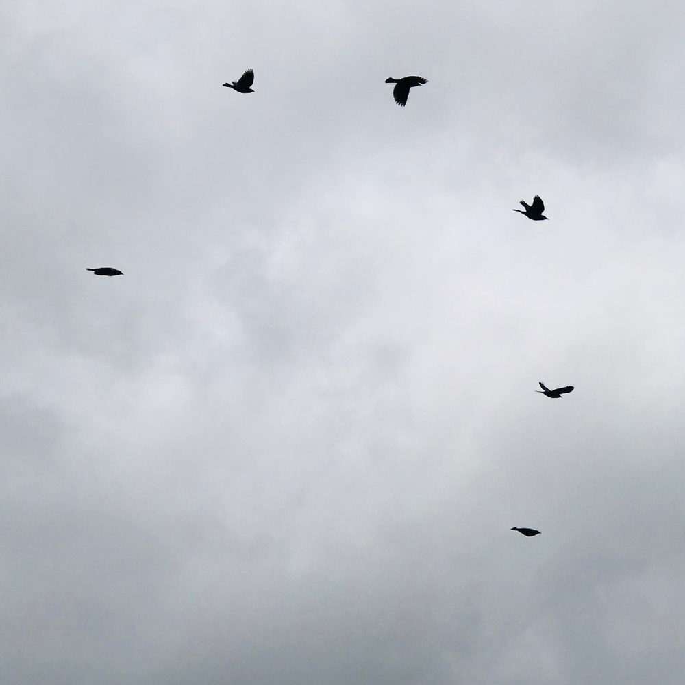 The one, the only, the Vendee